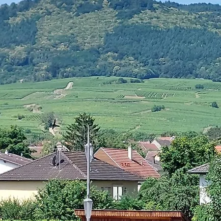 דירה La Petite Tuilerie D *